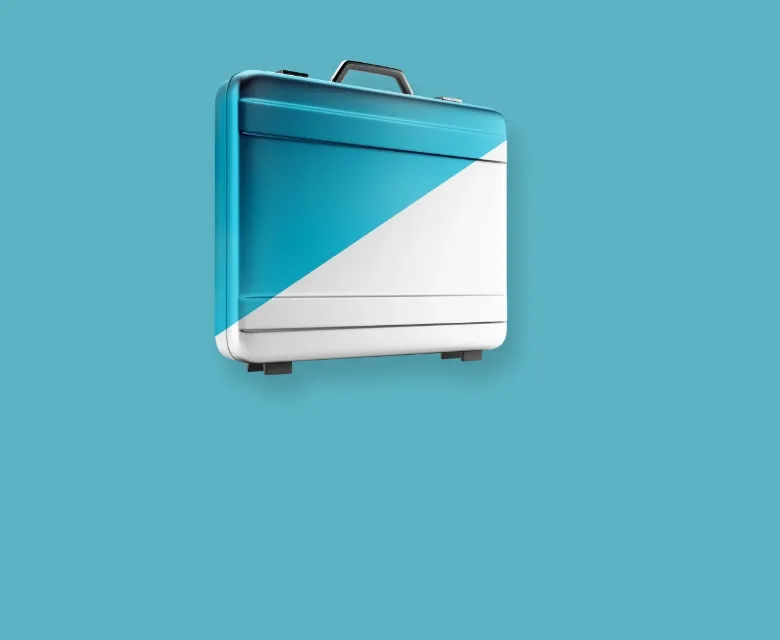 Professional briefcase representing Trinergy’s focus on delivering digital business outcomes.